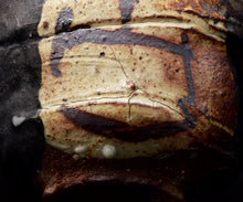 画像をギャラリービューアに読み込む, 吉見螢石 黒織部茶盌 銘「古雅」