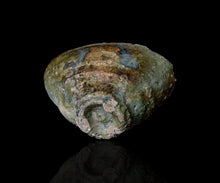 画像をギャラリービューアに読み込む, 吉見螢石 窯変須恵盃