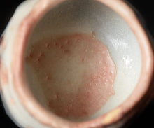 画像をギャラリービューアに読み込む, 松崎幹 蒼流志埜ぐい呑