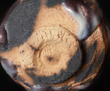 画像をギャラリービューアに読み込む, 松崎幹 蒼流志埜ぐい呑