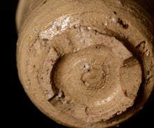 画像をギャラリービューアに読み込む, 通次廣 御本立鶴ぐい呑