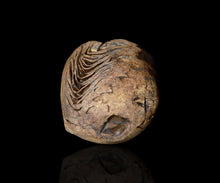 画像をギャラリービューアに読み込む, 泉田之也 積層ぐい呑