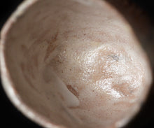 画像をギャラリービューアに読み込む, 泉田之也 積層粉引ぐい呑