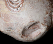 画像をギャラリービューアに読み込む, 泉田之也 積層粉引ぐい呑