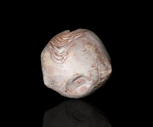 画像をギャラリービューアに読み込む, 泉田之也 積層粉引ぐい呑