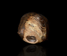 画像をギャラリービューアに読み込む, 泉田之也 積層黒ぐい呑