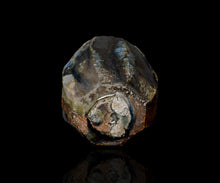 画像をギャラリービューアに読み込む, 今西公彦 黒丹波酒呑