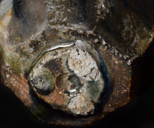 画像をギャラリービューアに読み込む, 今西公彦 黒丹波酒呑