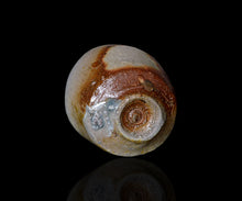 画像をギャラリービューアに読み込む, 後関裕士 桧山備前酒呑