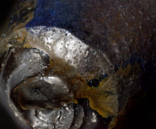 画像をギャラリービューアに読み込む, 後関裕士 蒼変黒酒呑