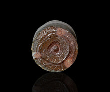 画像をギャラリービューアに読み込む, 後関裕士 白泥酒呑