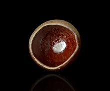 画像をギャラリービューアに読み込む, 後関裕士 赫変酒呑