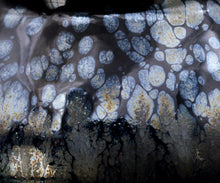 画像をギャラリービューアに読み込む, 古谷宣幸 油滴天目茶盌