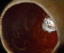 画像をギャラリービューアに読み込む, 後関裕士 赫変酒呑