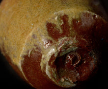 画像をギャラリービューアに読み込む, 後関裕士 赫変酒呑