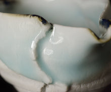 画像をギャラリービューアに読み込む, 加藤真美 景徳鎮手 小片口