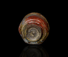 画像をギャラリービューアに読み込む, 松村遷 本沼手黄瀬戸窯変酒盃B