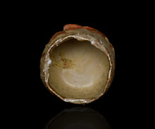 画像をギャラリービューアに読み込む, ジェフシャピロ 灰釉茶盌