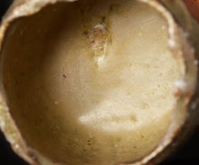 画像をギャラリービューアに読み込む, ジェフシャピロ 灰釉茶盌