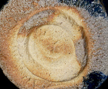 画像をギャラリービューアに読み込む, 今西公彦 丹波海鼠窯変茶盌 Vega