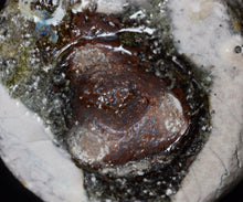 画像をギャラリービューアに読み込む, 今西公彦 白丹波茶盌