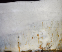 画像をギャラリービューアに読み込む, 後関裕士 白泥茶盌