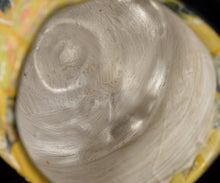 画像をギャラリービューアに読み込む, 伊勢崎陽太郎 HAL面取茶碗