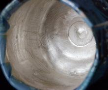 画像をギャラリービューアに読み込む, 伊勢崎陽太郎 HAL面取茶碗