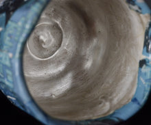 画像をギャラリービューアに読み込む, 伊勢崎陽太郎 HAL面取茶碗