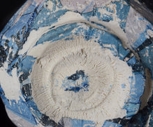 画像をギャラリービューアに読み込む, 伊勢崎陽太郎 HAL面取茶碗