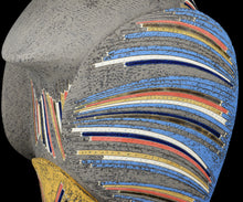 画像をギャラリービューアに読み込む, 澤田勇人 鳥人