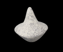 画像をギャラリービューアに読み込む, 澤田勇人 鳥人