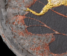 画像をギャラリービューアに読み込む, 若尾利貞 鼡志野台皿