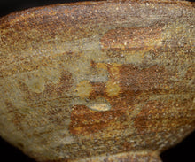 画像をギャラリービューアに読み込む, 三藤るい 柿の蔕茶碗