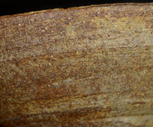 画像をギャラリービューアに読み込む, 三藤るい 柿の蔕茶碗