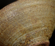 画像をギャラリービューアに読み込む, 三藤るい 柿の蔕茶碗