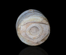 画像をギャラリービューアに読み込む, 三藤るい 斑唐津茶碗