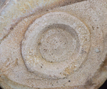 画像をギャラリービューアに読み込む, 三藤るい 斑唐津茶碗