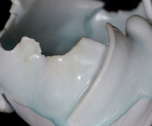 画像をギャラリービューアに読み込む, 加藤真美 景徳鎮手 方舟盌