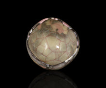 画像をギャラリービューアに読み込む, 若尾経 米色磁小服茶盌