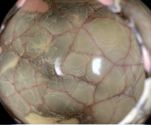 画像をギャラリービューアに読み込む, 若尾経 米色磁小服茶盌