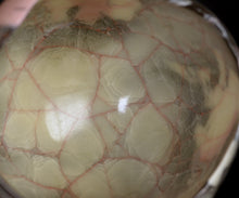 画像をギャラリービューアに読み込む, 若尾経 米色磁小服茶盌