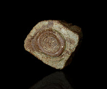 画像をギャラリービューアに読み込む, 松崎幹 伊羅保小服茶盌