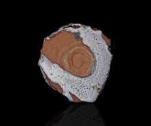 画像をギャラリービューアに読み込む, 松崎幹 白釉茶盌