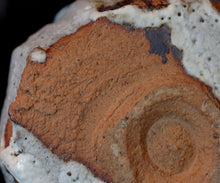 画像をギャラリービューアに読み込む, 松崎幹 白釉茶盌