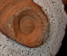 画像をギャラリービューアに読み込む, 松崎幹 白釉茶盌