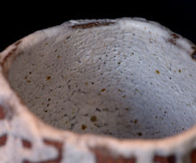 画像をギャラリービューアに読み込む, 松崎幹 白釉茶盌