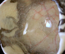 画像をギャラリービューアに読み込む, 若尾経 米色磁茶盌