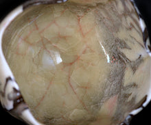 画像をギャラリービューアに読み込む, 若尾経 米色磁茶盌