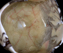 Load image into Gallery viewer, Kei Wakao rice-colored celadon tea bowl